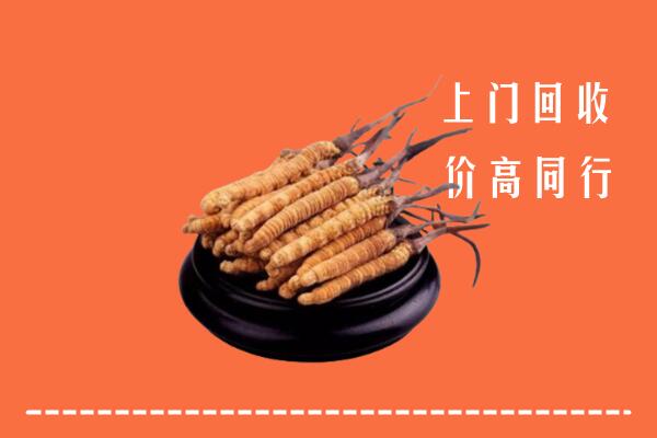 高价求购：高平市回收散虫草