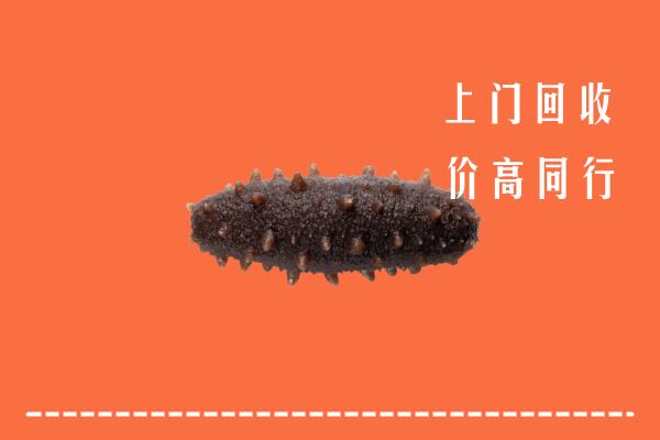 高价求购：高平市回收海参