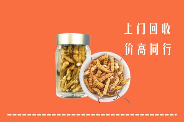 高平市回收冬虫夏草